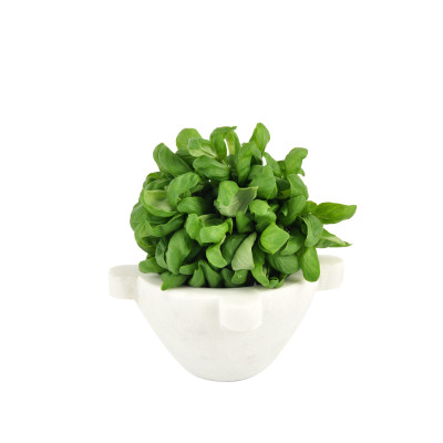 Mortar with pestle-14 cm