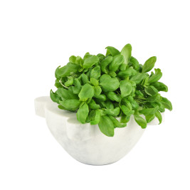 Mortaio con pestello - 20 cm 2