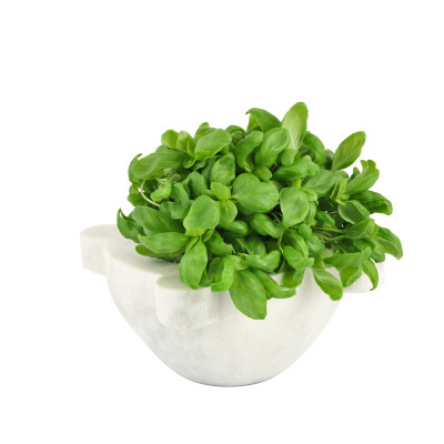 Mörser mit Stößel-20 cm