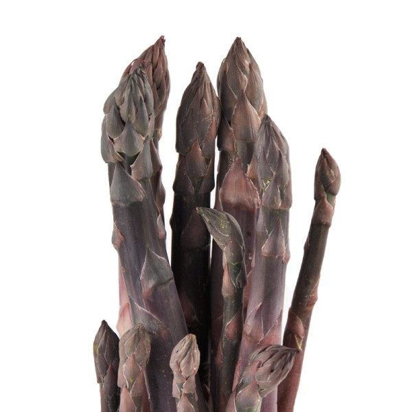 Asperges violettes (Présidium Slow Food), 500 gr