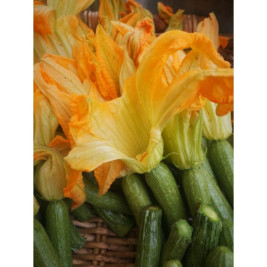 Zucchine genovesi, 1 Kg 2