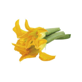 Zucchine genovesi, 1 Kg
