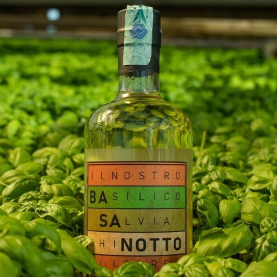Basanotto "Liquore Tipico Ligure" - 70 cl