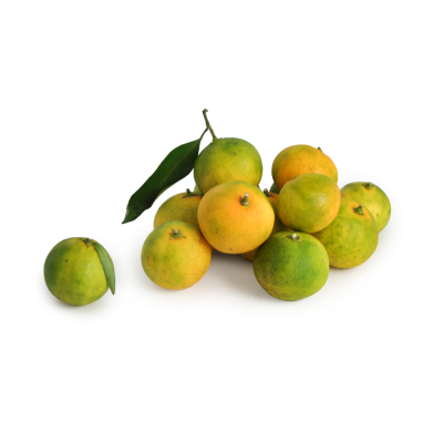 Buy Mandarin of Finalborgo (Ligurian Riviera of