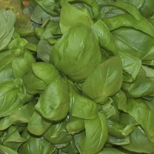 Il pesto che non esiste di Roberto Panizza, 130 gr