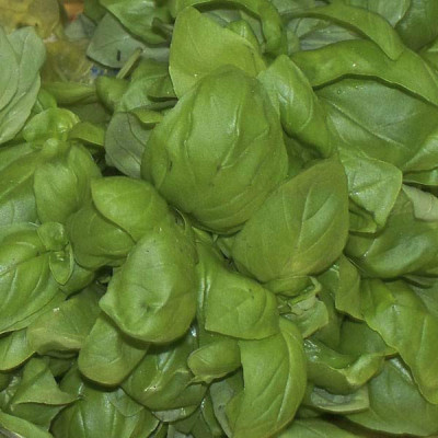 Il pesto che non esiste di Roberto Panizza, 130 gr