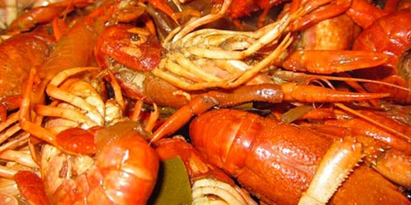 Cuisine créole: homards cajuns